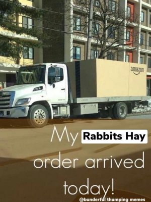 amazon_hay.jpg