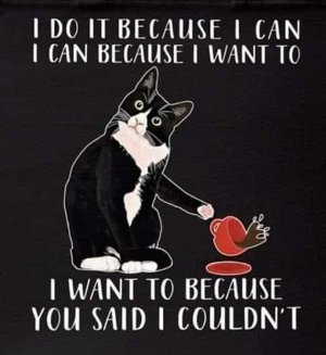cattitude020422.jpg