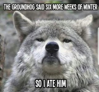 groundhog020222.jpg