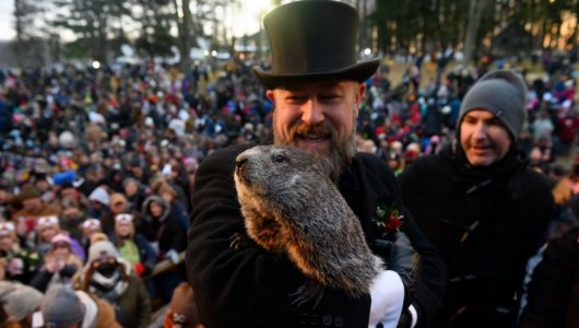 groundhog.jpg