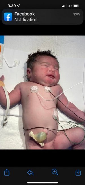 Maia minutes old.jpg