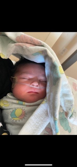 Maia in daddy`s arms.jpg