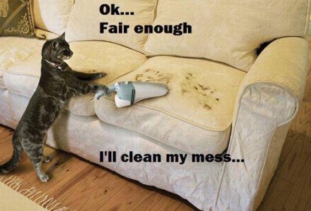 vacuuming.jpeg