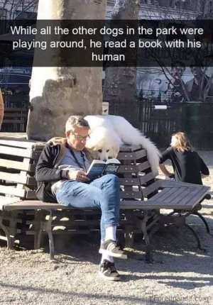 265823836_459142322272553_3788004919475232017_n.jpg