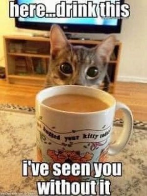 coffee020322.jpg