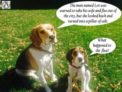 3C5F17BF-3B9C-4D19-9696-9731B8C77C6F.jpeg