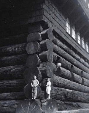 log cabin.jpg