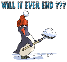 Snowbound Penguin _ Irony Design Fun Shop - Humorous & Funny T-Shirts,.gif