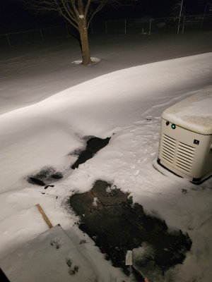2-4-22 Drift back yard.jpg