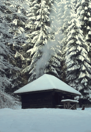 tumblr_1c0ff16a01a22b8825407b8fdb35b448_f40d818d_500.gif