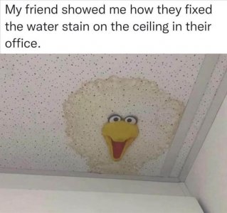 7B065B3D-F1EF-418C-A886-9E214081193F.jpeg