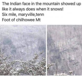 F9B0C4E5-668C-4433-B9AF-5DE27084E0E4.jpeg