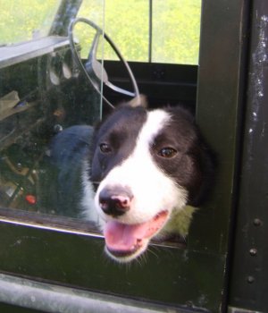 Des in Landrover.2.jpg