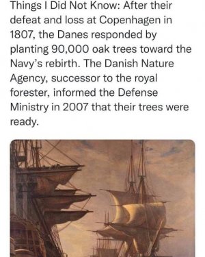 B4950DB8-1C92-41F1-82BC-25FDA65B7A4F.jpeg