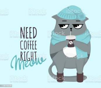 grumpy-cat-winter-in-scarf-and-hat-with-cup-need-coffee-right-meow-vector-id1195755239.jpg