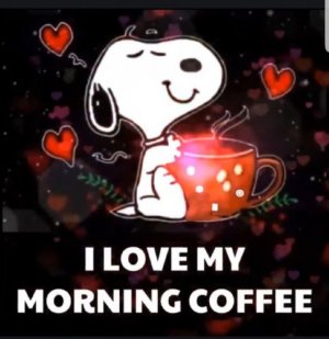 7BFF368A-880B-49B2-B57C-704F95210195.jpeg