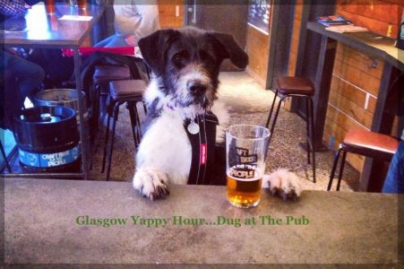 Brewdog-Glasgow-Yappy-Hour.jpg