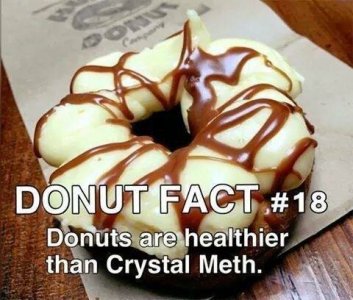 donut fact.jpg