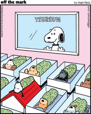 offthemarkcomic1.jpg