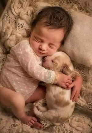 babyanimals020922.jpg