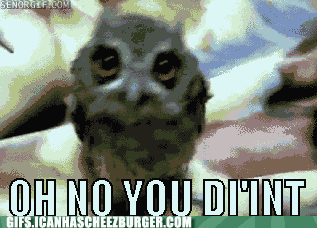 tumblr_mn3yr5HyTf1sp4uk4o1_400.gif