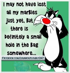 40dafd93bd30d01eb94cac41ddb82842[1].jpg