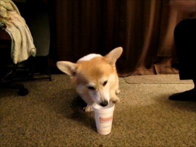 tumblr_oeak22KWZU1stgzx6o1_400.gif
