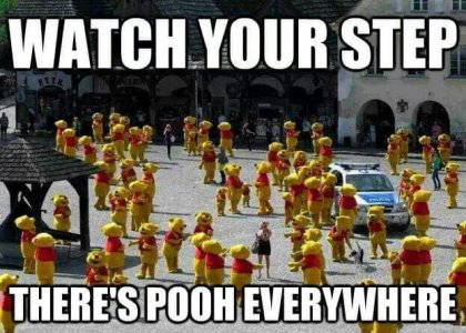 pooh.jpg