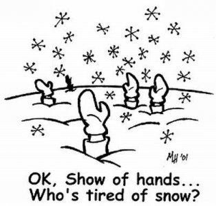 tired of snow.jpg