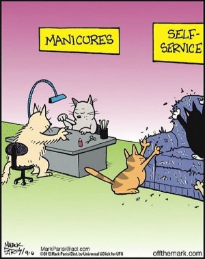 animalhumor021322.jpg