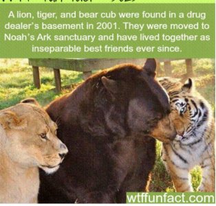 2022-02-13 12.13.24 .jpg