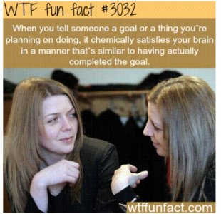 2022-02-13 12.17.48 .jpg