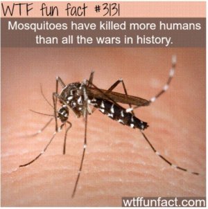 2022-02-13 12.21.54 .jpg