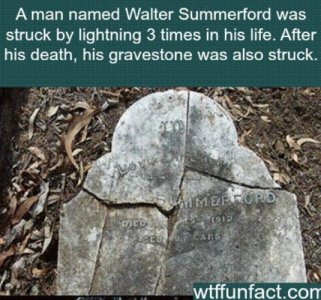 2022-02-13 12.48.01 .jpg