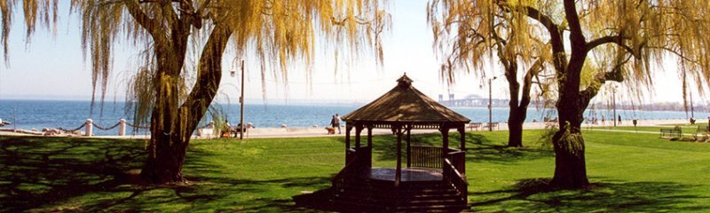 weeping-willows Spencer smith park copy.jpg