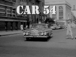 CAR 54.gif CAR 54.gif