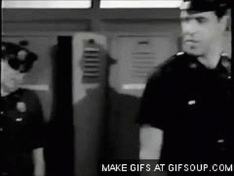 BouncyClassicAssassinbug-size_restricted.gif BouncyClassicAssassinbug-size_restricted.gif