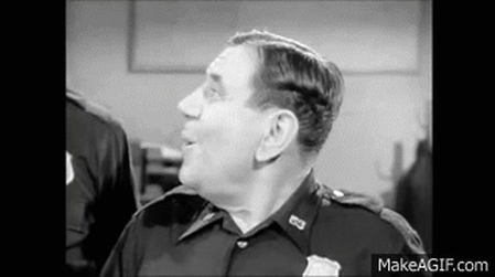 CluelessAngelicChrysomelid-size_restricted.gif CluelessAngelicChrysomelid-size_restricted.gif