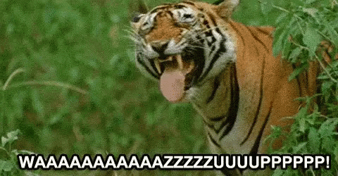 kk-wazup.gif