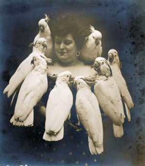 Birds @.jpg