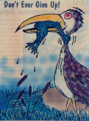 scan0012.jpg