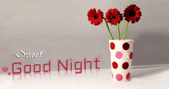 Sweet-good-night-red-flowers.jpg