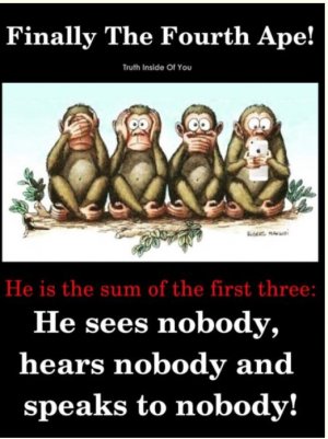 Apes.jpg