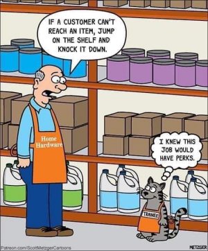 FB_IMG_1644952639135.jpg
