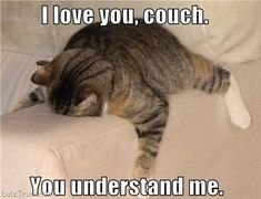 7cda26c8c8fdab601d69f235d8816739--funny-things-funny-stuff.jpg