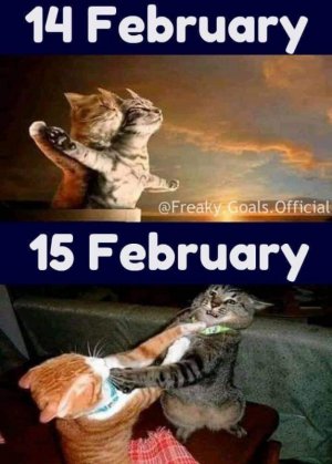 FB_IMG_1644963632749.jpg