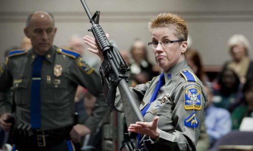 gun2.jpg