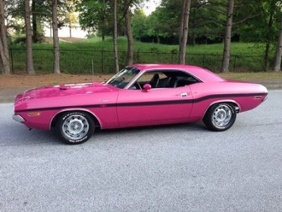 Panther pink.jpg