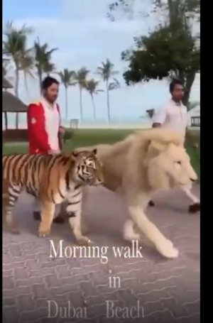 walk.jpg