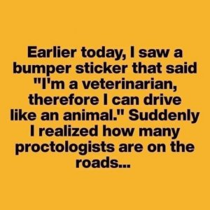 Bumper sticker.jpg